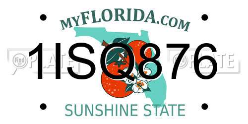 1ISQ876 Florida License Plate