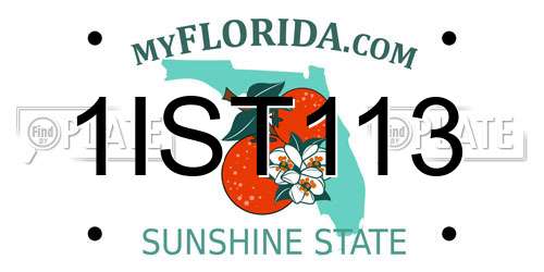1IST113 Florida License Plate