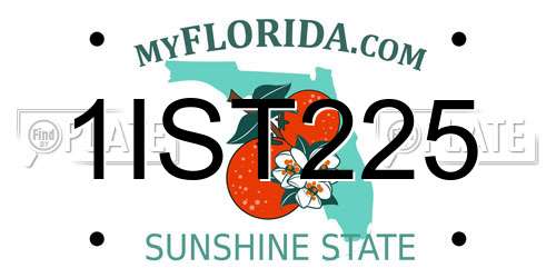1IST225 Florida License Plate