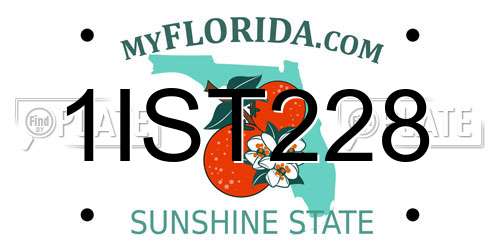 1IST228 Florida License Plate