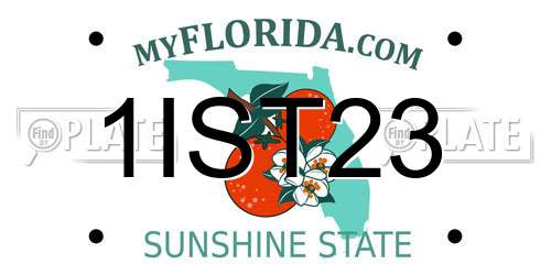 1IST23 Florida License Plate