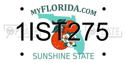 1IST275 Florida License Plate