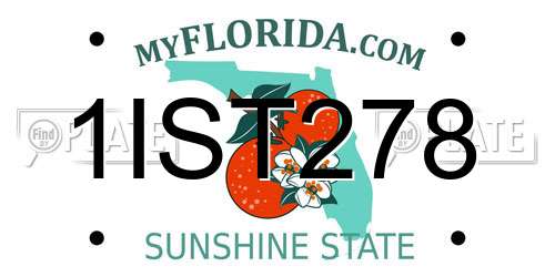 1IST278 Florida License Plate