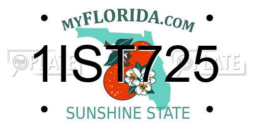 1IST725 Florida License Plate