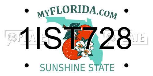 1IST728 Florida License Plate