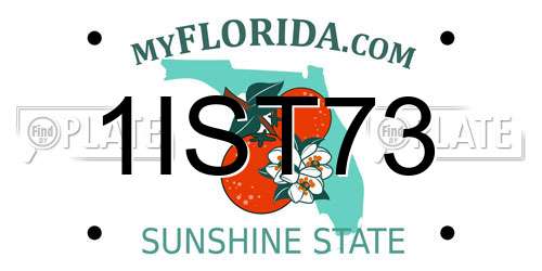 1IST73 Florida License Plate
