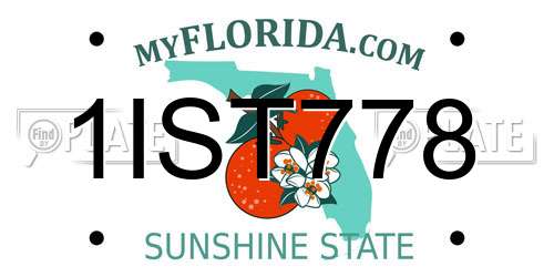 1IST778 Florida License Plate