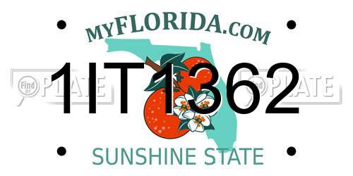 1IT1362 Florida License Plate