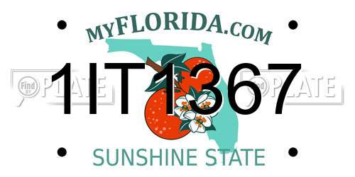 1IT1367 Florida License Plate