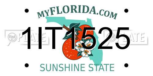 1IT1525 Florida License Plate