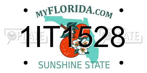 1IT1528 Florida License Plate