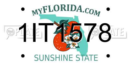 1IT1578 Florida License Plate