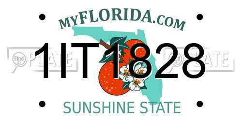 1IT1828 Florida License Plate