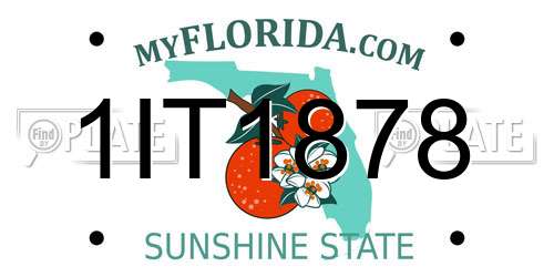 1IT1878 Florida License Plate