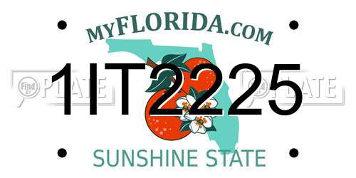 1IT2225 Florida License Plate