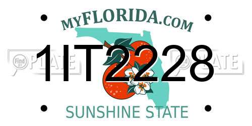 1IT2228 Florida License Plate