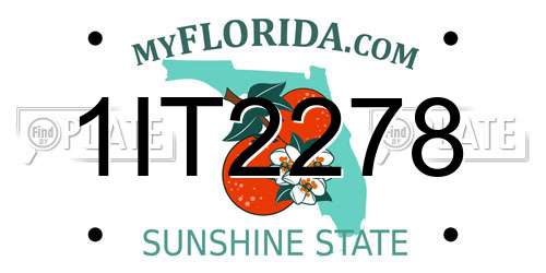 1IT2278 Florida License Plate