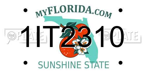 1IT2310 Florida License Plate