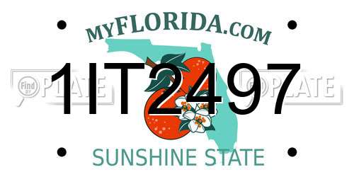 1IT2497 Florida License Plate
