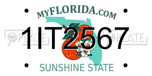 1IT2567 Florida License Plate
