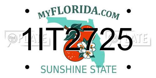 1IT2725 Florida License Plate