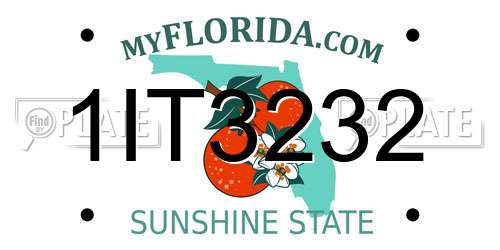 1IT3232 Florida License Plate