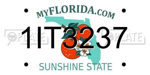 1IT3237 Florida License Plate
