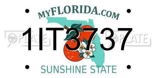 1IT3737 Florida License Plate