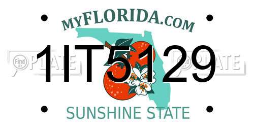 1IT5129 Florida License Plate