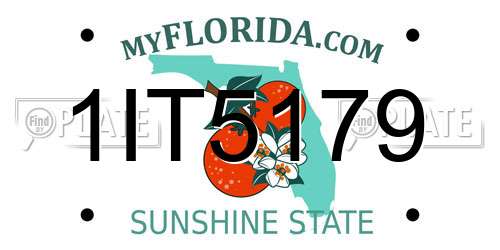 1IT5179 Florida License Plate