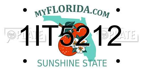 1IT5212 Florida License Plate