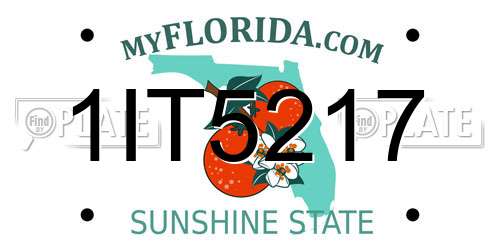 1IT5217 Florida License Plate