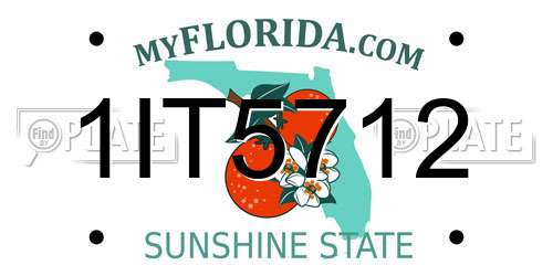 1IT5712 Florida License Plate