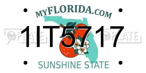 1IT5717 Florida License Plate
