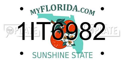 1IT6982 Florida License Plate