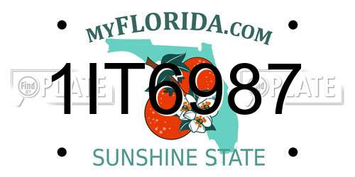 1IT6987 Florida License Plate