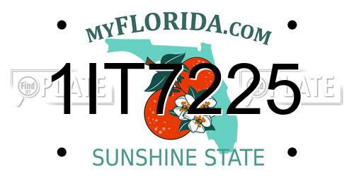 1IT7225 Florida License Plate