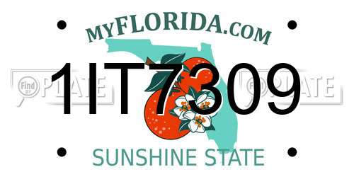 1IT7309 Florida License Plate