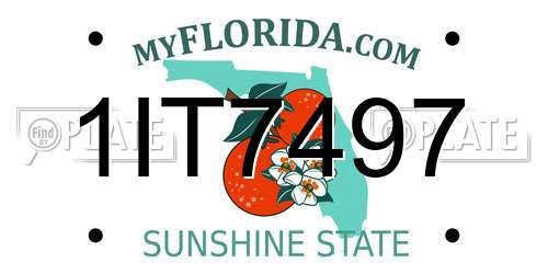 1IT7497 Florida License Plate