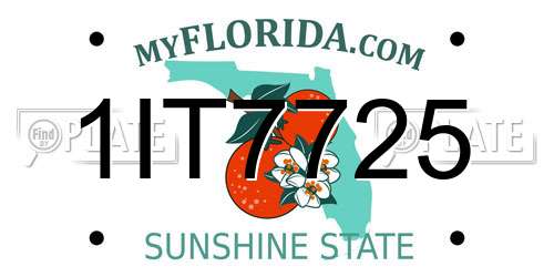 1IT7725 Florida License Plate