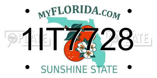 1IT7728 Florida License Plate