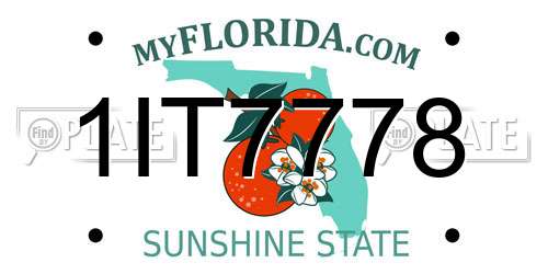 1IT7778 Florida License Plate