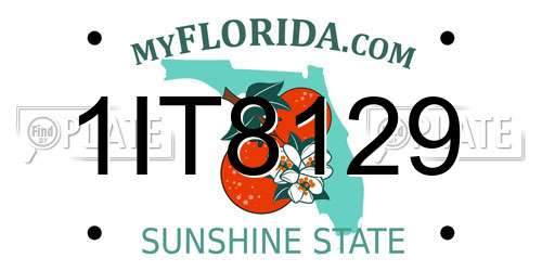 1IT8129 Florida License Plate