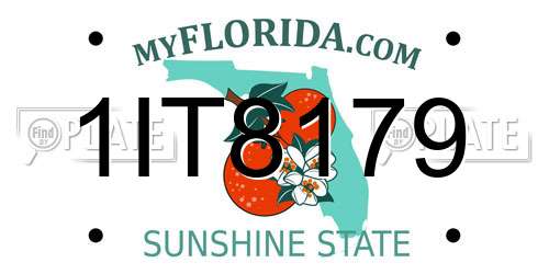 1IT8179 Florida License Plate