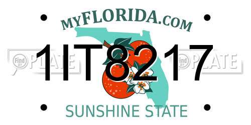 1IT8217 Florida License Plate