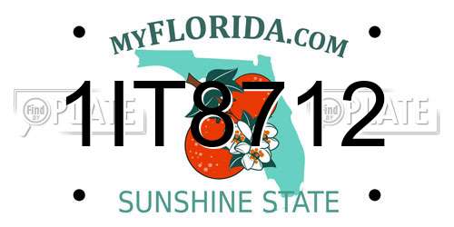 1IT8712 Florida License Plate