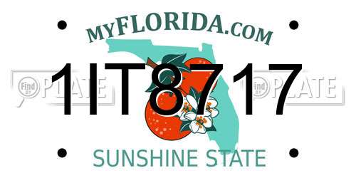 1IT8717 Florida License Plate