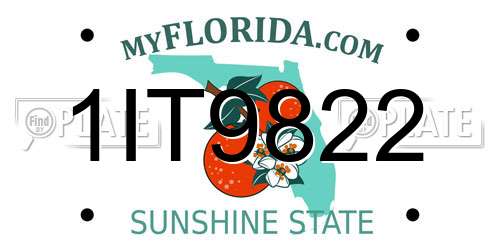 1IT9822 Florida License Plate