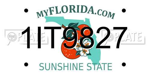 1IT9827 Florida License Plate