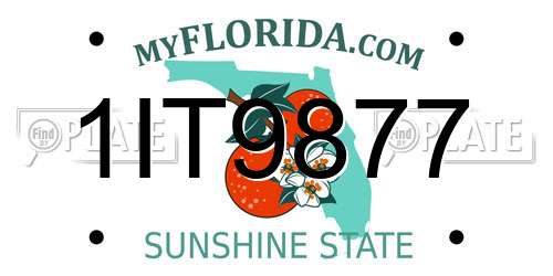 1IT9877 Florida License Plate